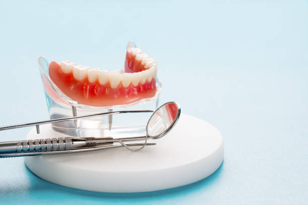 Best Dental Fillings (Composite and Amalgam)  in Winter Beach, FL